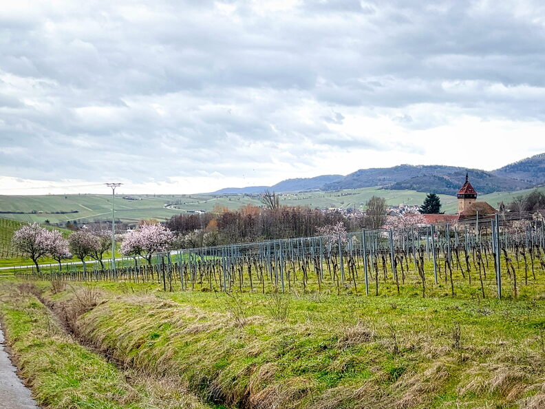 23-03-13 10-47-04 4824